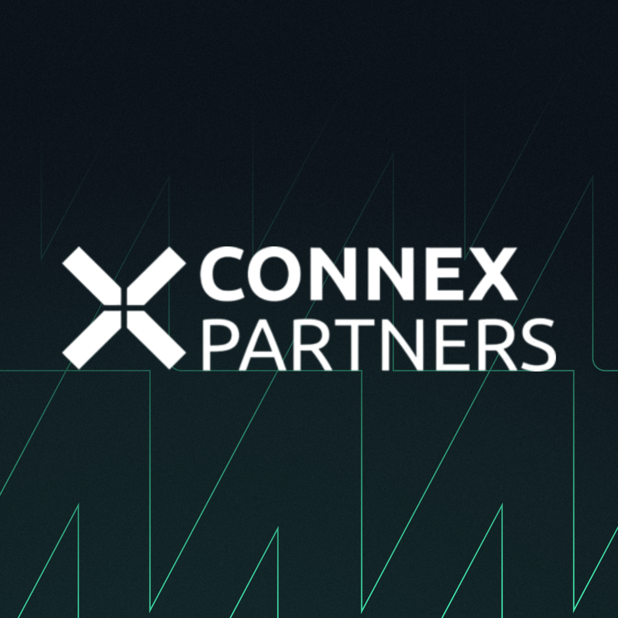 Connex Partners