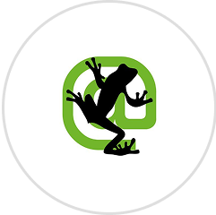 screaming_frog
